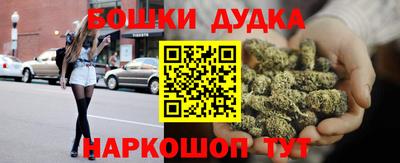 СК Дубна