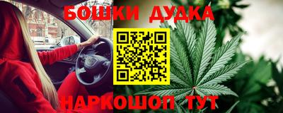 СК Дубна