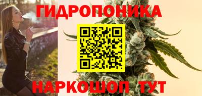 СК Дубна
