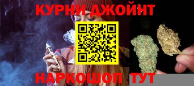 СК Дубна
