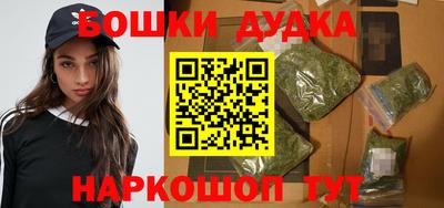СК Дубна