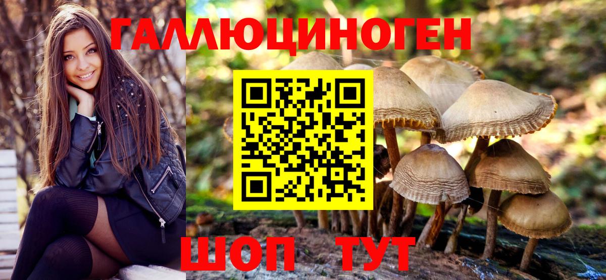 Галлюциногенные грибы Psilocybine cubensis  Вход с VPN  Глазов 