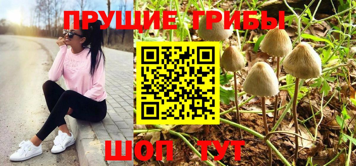 Псилоцибиновые грибы GOLDEN TEACHER Глазов